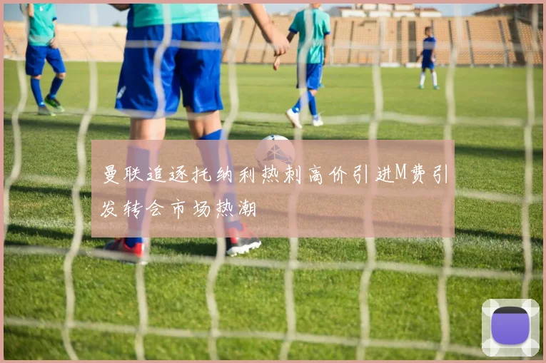 曼联追逐托纳利热刺高价引进M费引发转会市场热潮