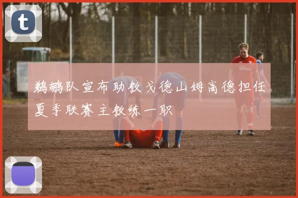 鹈鹕队宣布助教戈德山姆高德担任夏季联赛主教练一职